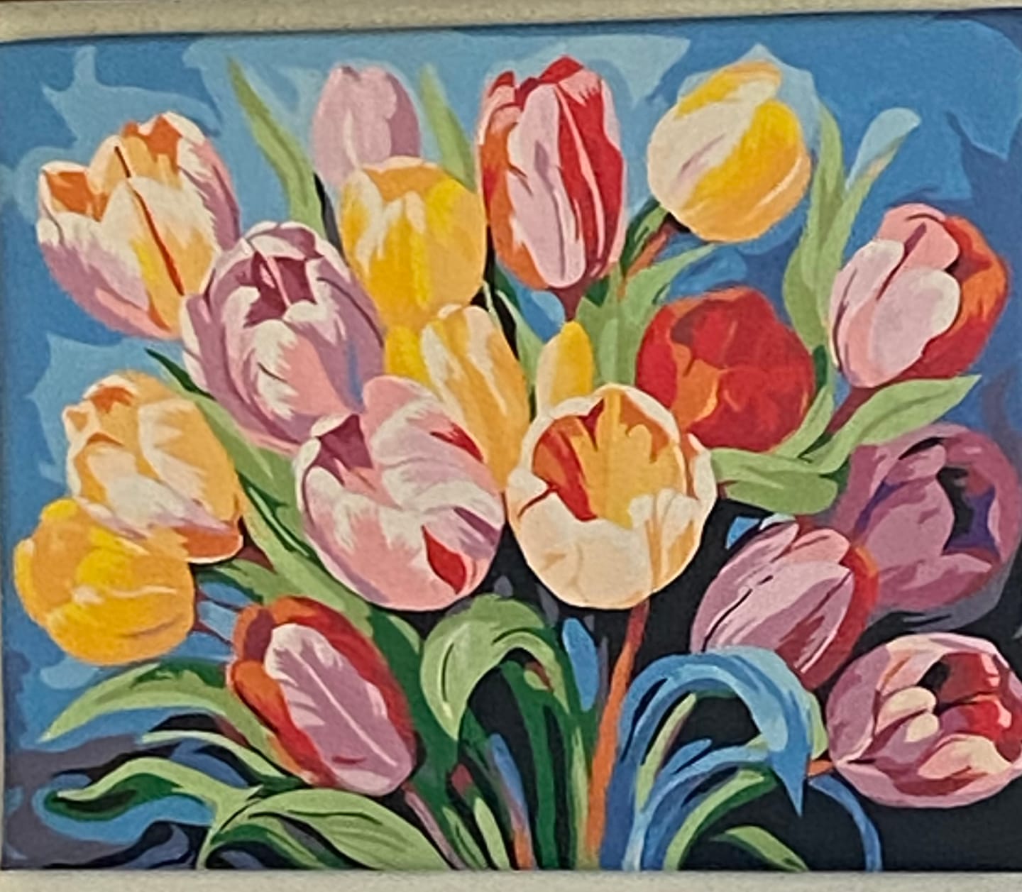 Customer photo review of Vibrant Tulip Medley
