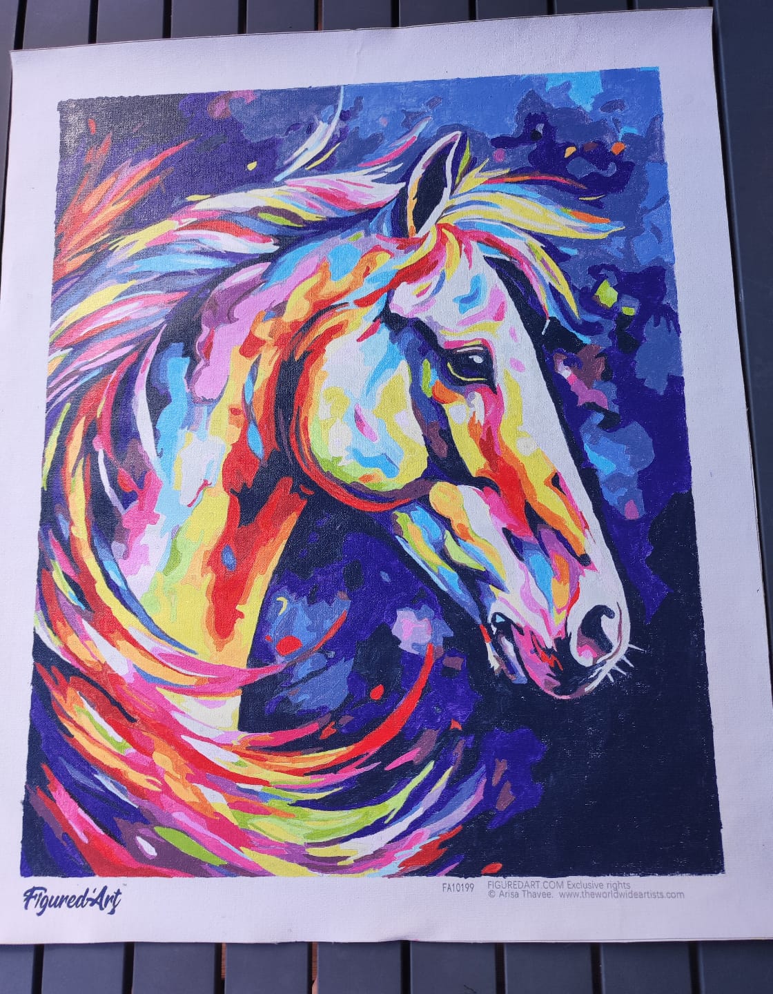 Customer photo review of Cheval Coloré Abstrait