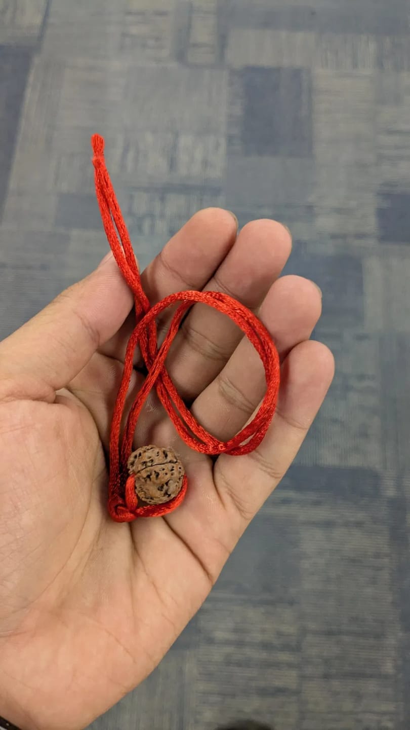 Customer photo review of Nepal Origin 4 Mukhi Rudraksha – 100% Natural & Certified