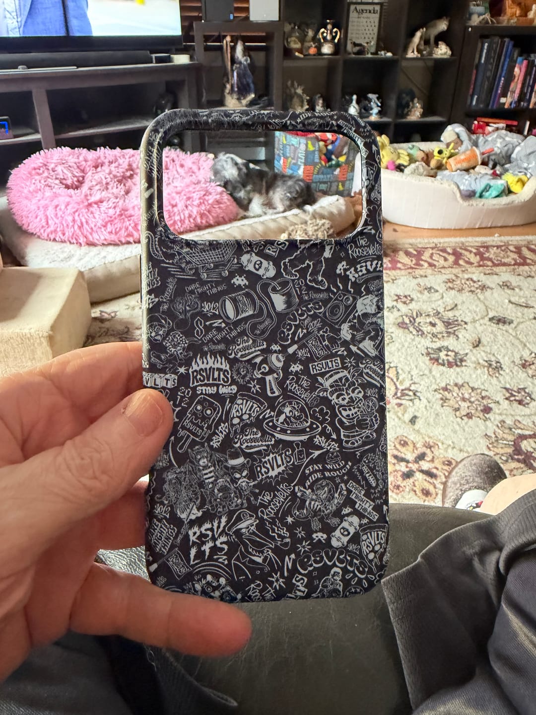 Customer photo review of Outpost – Phone Case IPHONE 17 Pro Max