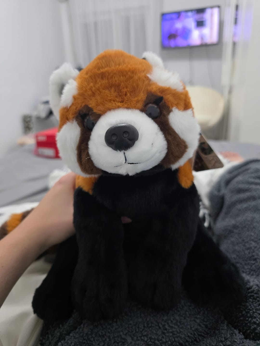 Customer photo review of The Dash Plush