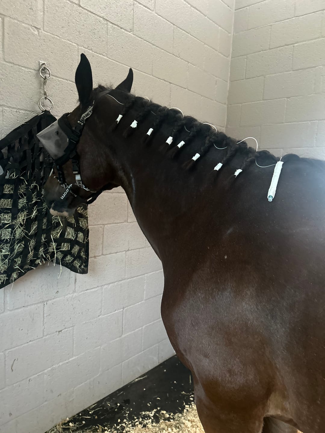 Customer photo review of Recovery Vizor Padding Set