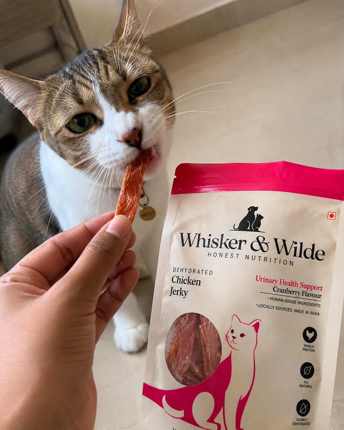 Customer photo review of Dehydrated Chicken Jerky – Cranberry (Cat)