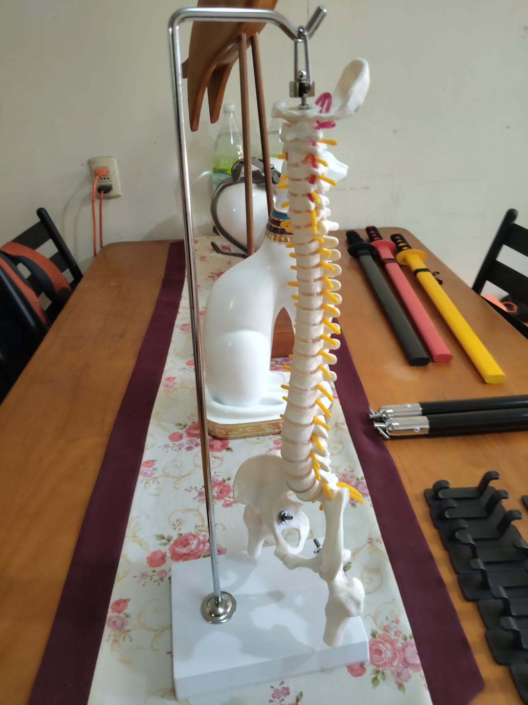 Customer photo review of Columna Vertebral 45 Cm Con Cadera