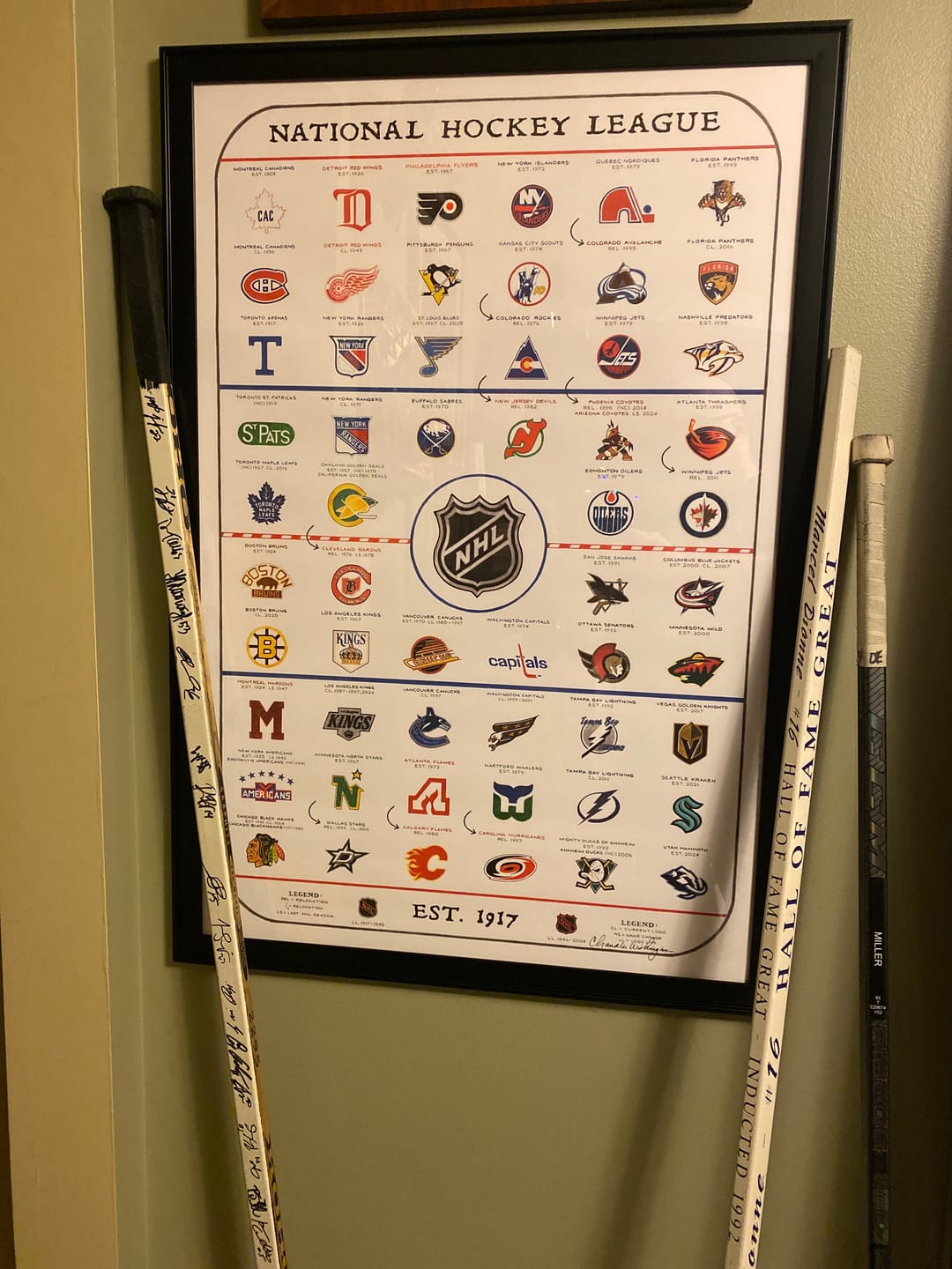 Customer photo review of The Evolution of the NHL (2025 Edition)