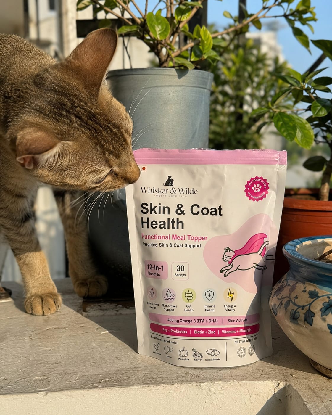 Customer photo review of Skin & Coat Cat Topper · 460mg Omega-3 for Dull Coat, Itchy Skin & Shedding