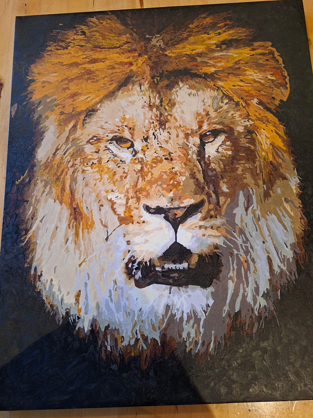 Customer photo review of Malen nach Zahlen - Löwe Gesicht