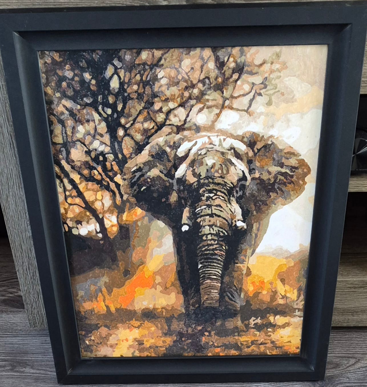 Customer photo review of Eléphant solitaire
