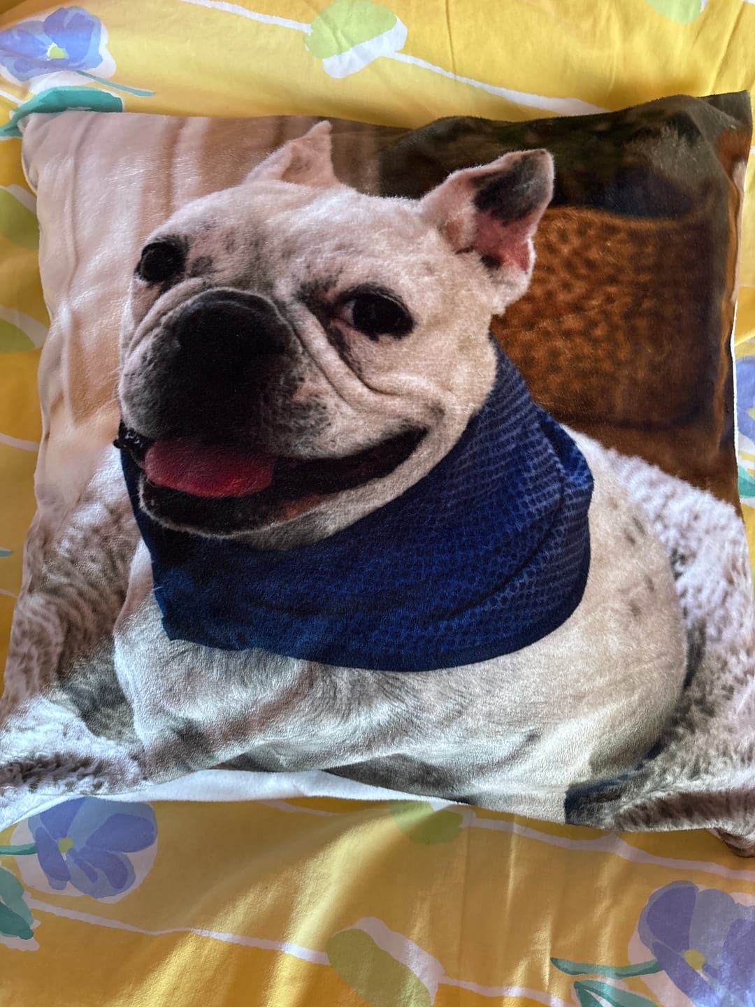 Customer photo review of Coussin personnalisé - Avec photo