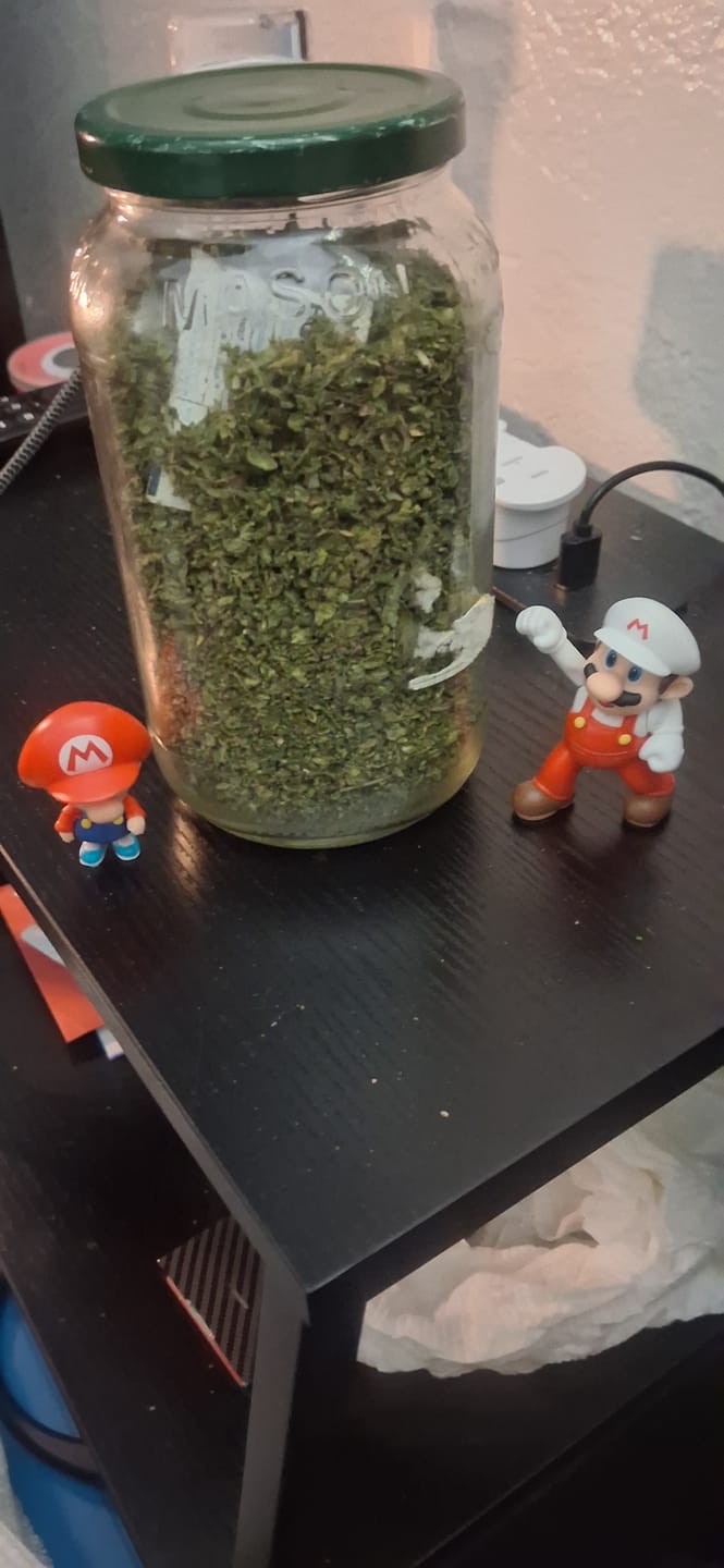 Customer photo review of Cheap THCA Flower Trim