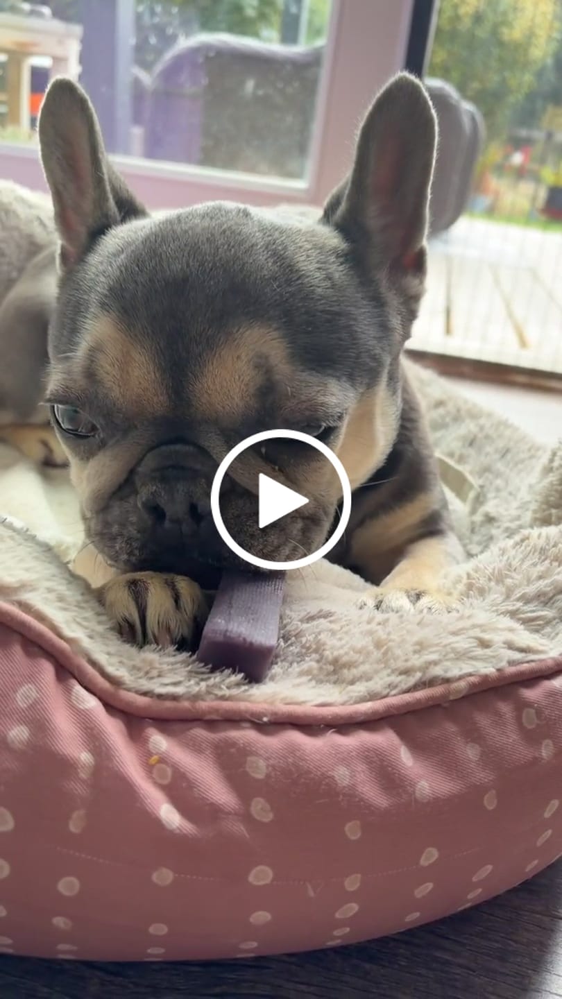Customer video review of Himalayan Yak Chew Flavour Pack