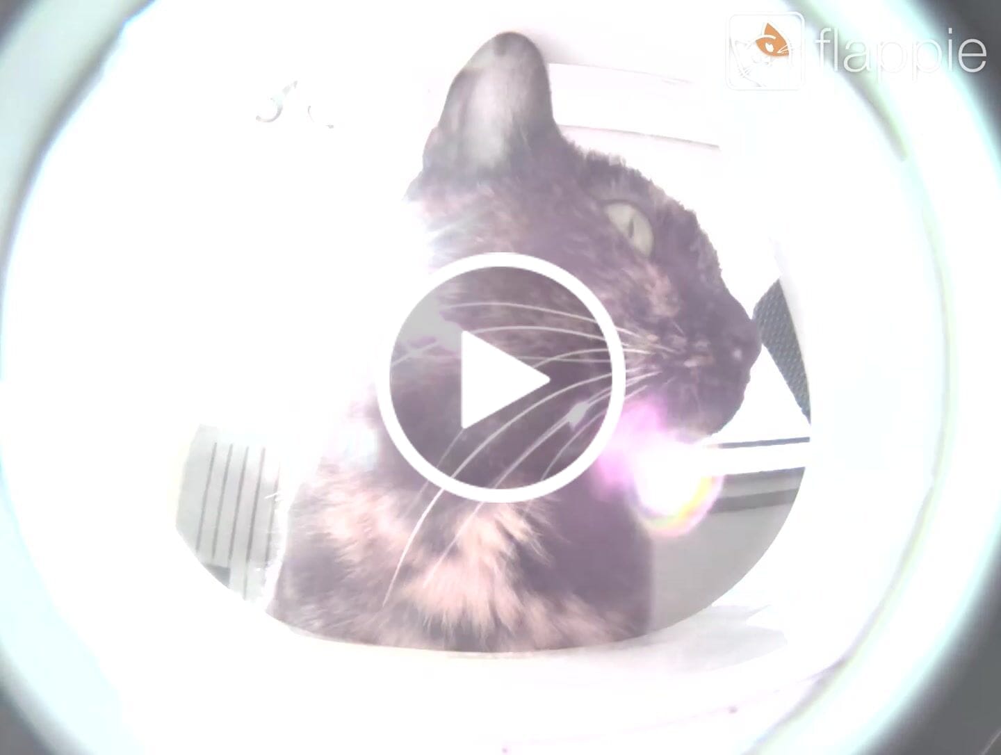 Customer video review of Flappie®