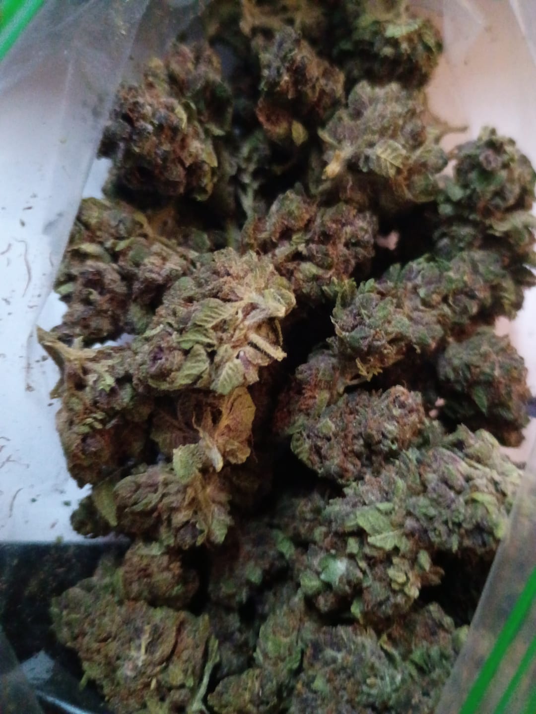 Customer photo review of West West Brand - Red Velvet - 14 Grams - Hybrid
