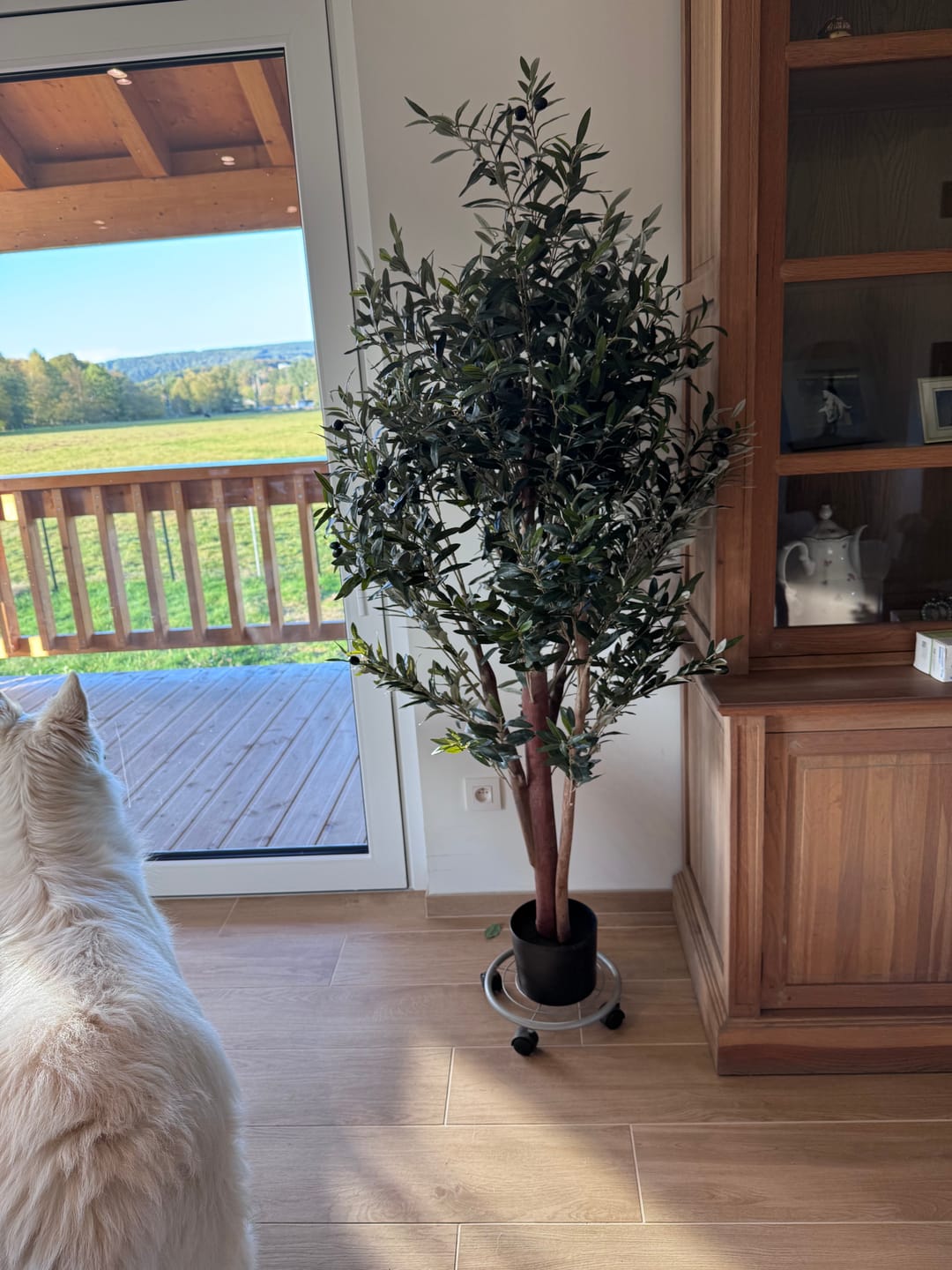 Customer photo review of Kunst Olijfboom 165cm Deluxe