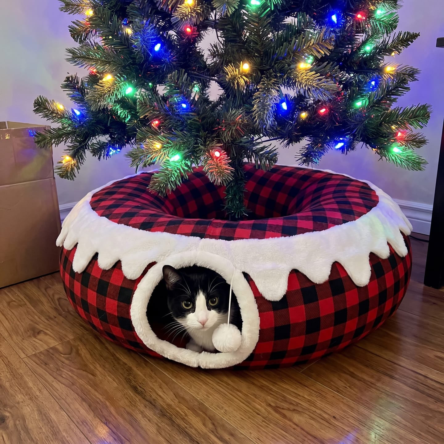 Customer photo review of Falda con túnel para gato