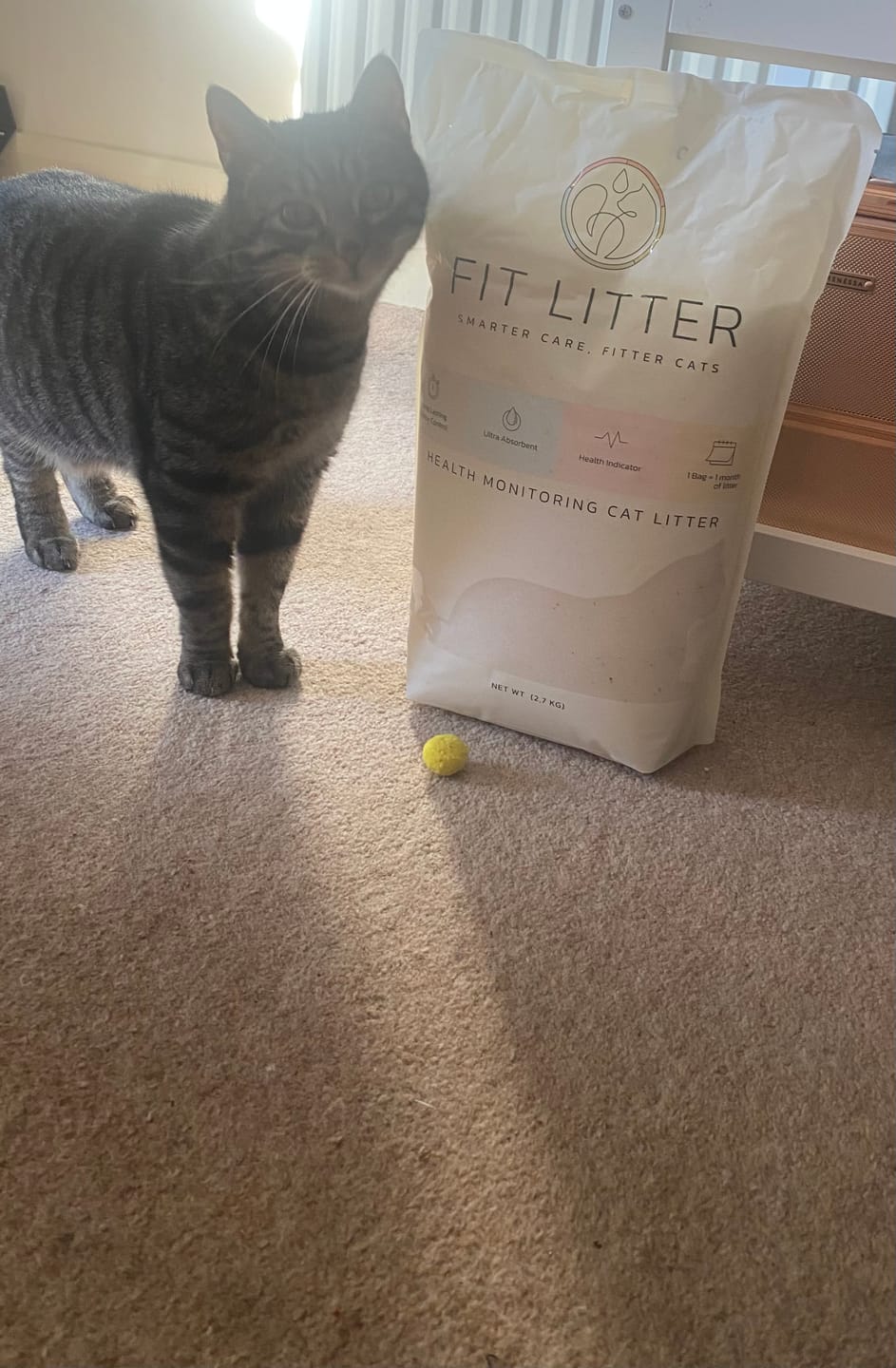 Customer photo review of Fit Litter