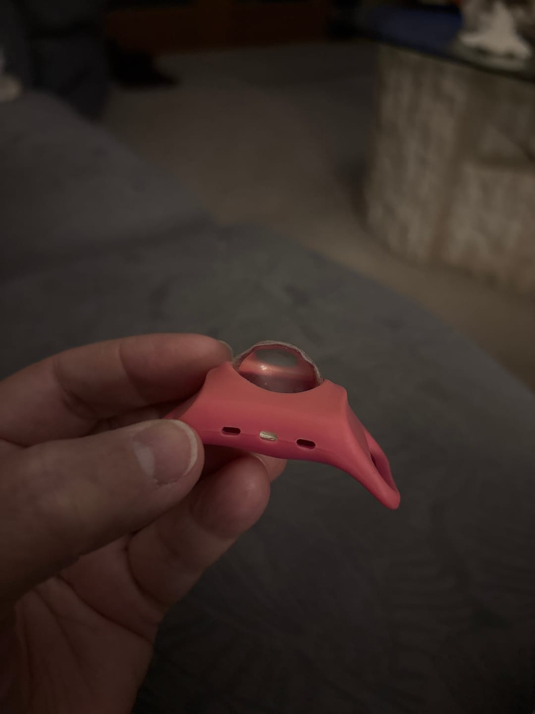 Customer photo review of FurLife™ - 12 Months All Natural Flea and Tick Tags for Dogs