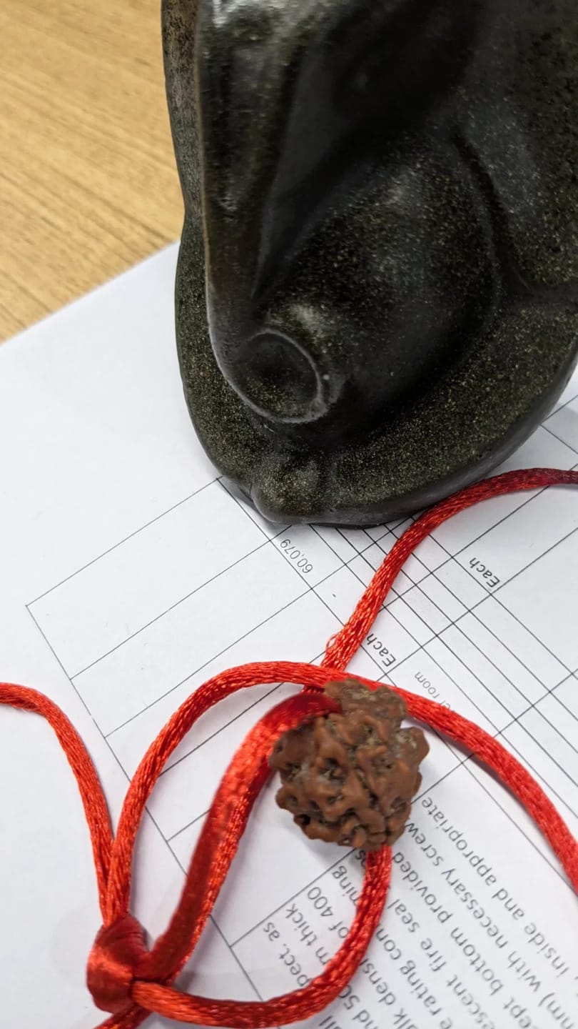 Customer photo review of Nepal Origin 3 Mukhi Rudraksha – 100% Natural & Certified