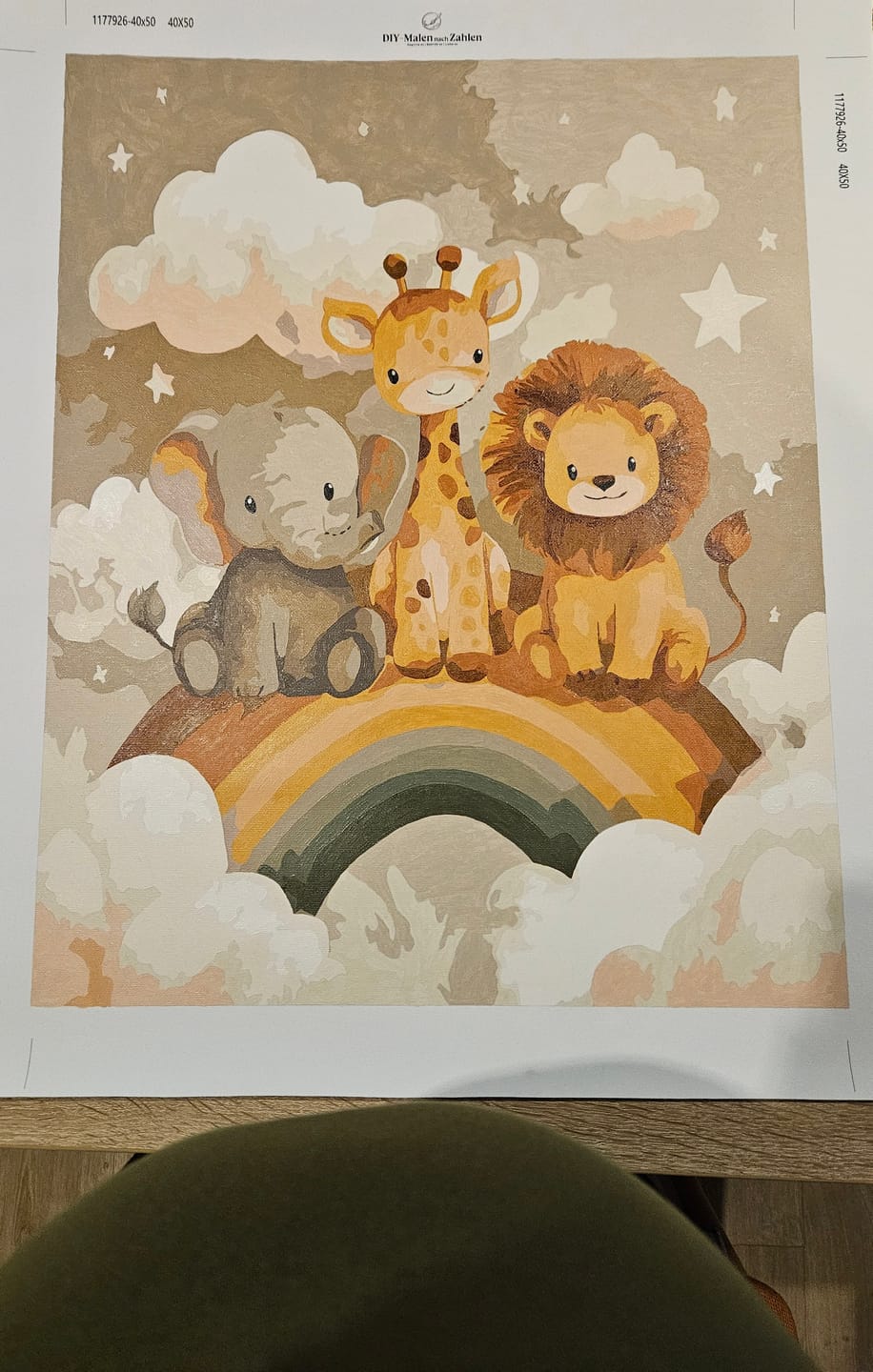 Customer photo review of Malen nach Zahlen - Regenbogen Freunde