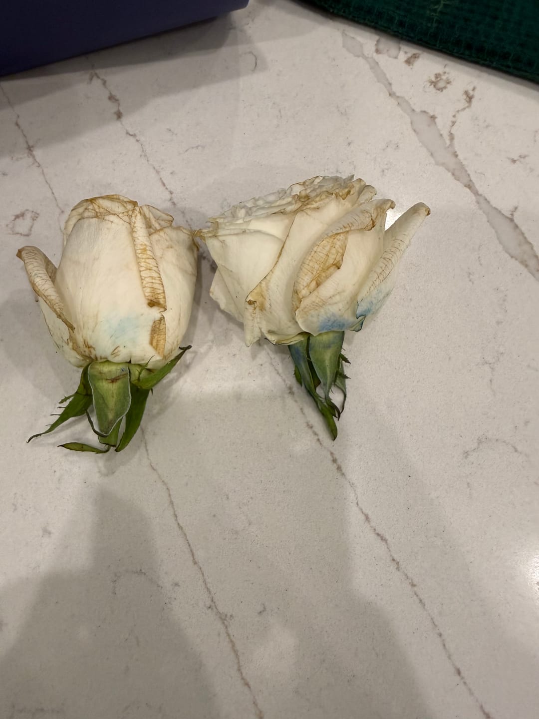 Customer photo review of Blue & White Rose Bouquet