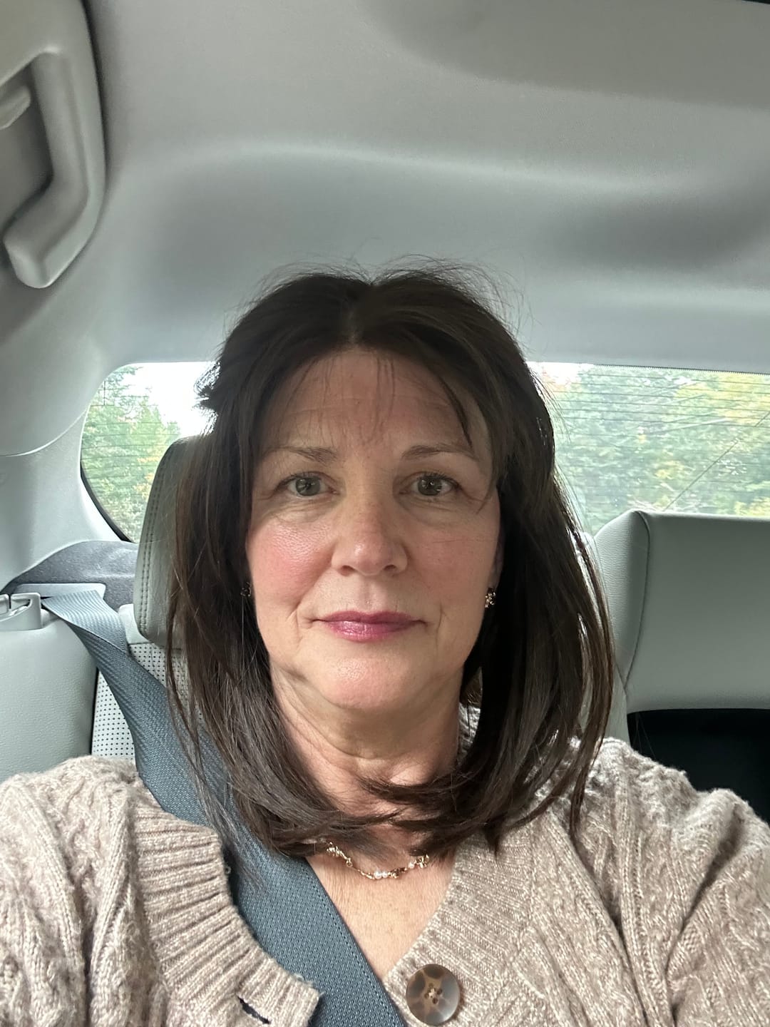 Customer photo review of Wet Brush - Shine Enhancer