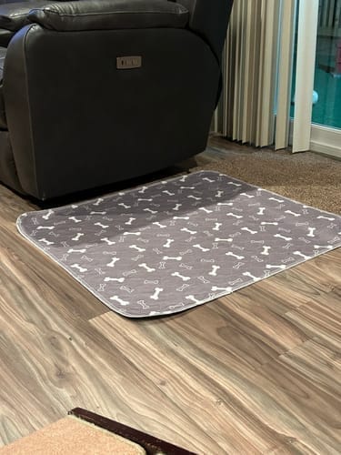 Customer photo review of Mascoly – Empapador lavable con feromonas para perros