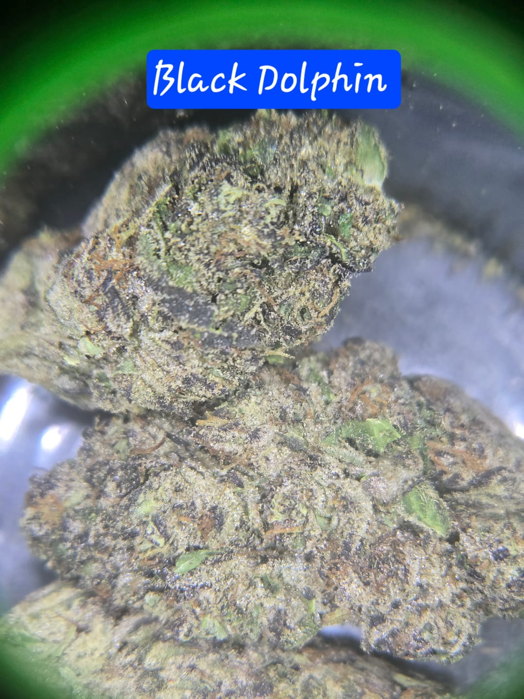 Customer photo review of Exotic Indoor Express THCA Flower (7 Grams)