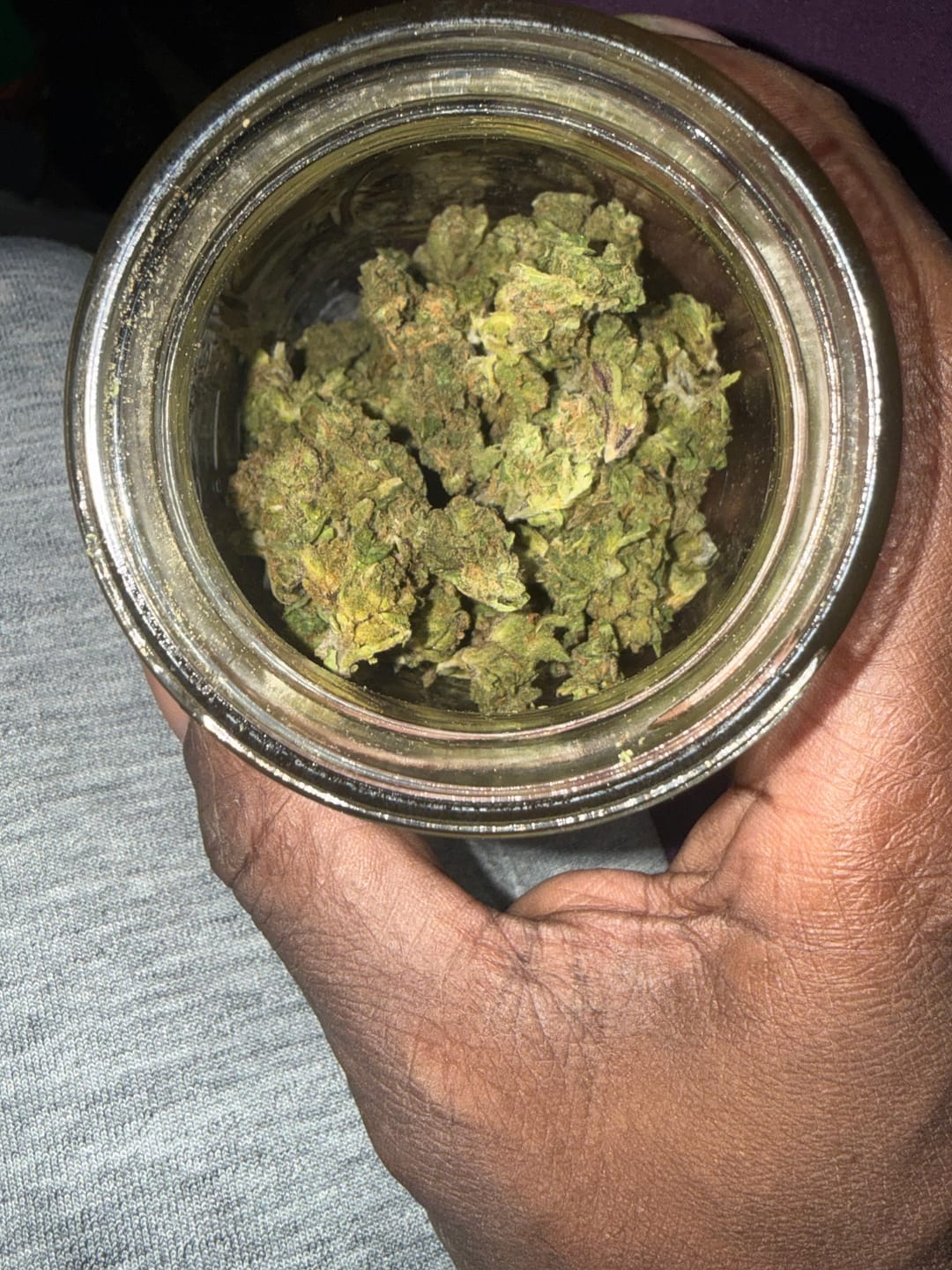 Customer photo review of Halle Berry Minis - Bulk Minis - Hybrid
