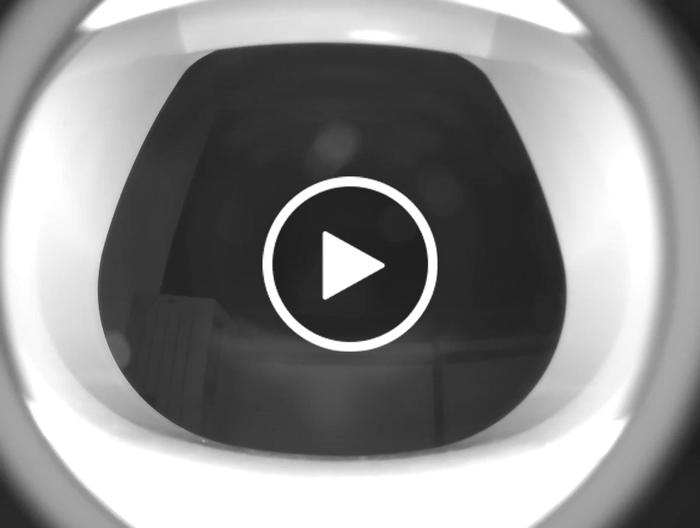 Customer video review of Flappie®
