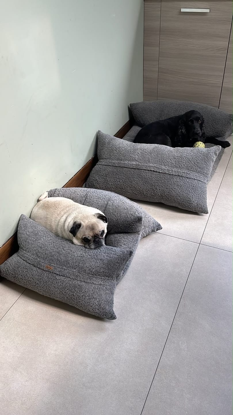 Customer photo review of Cama Yoko Gris
