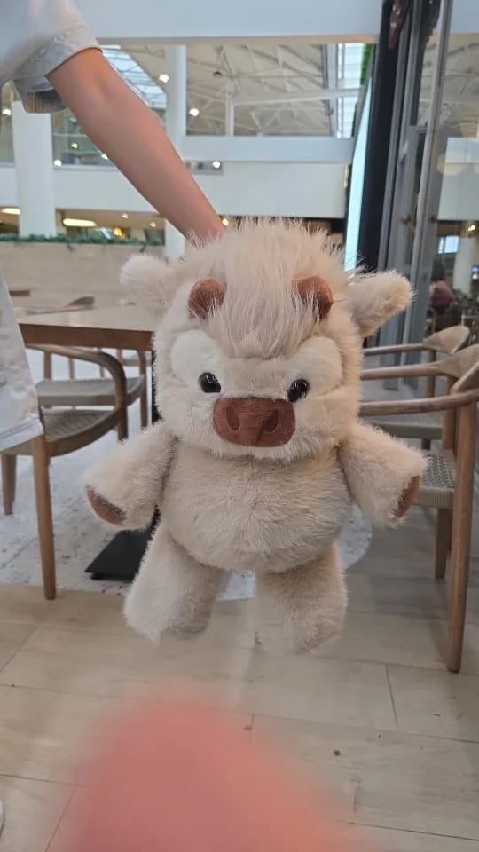 Customer photo review of MooDash BoopJoy – La vaquita de peluche que corre