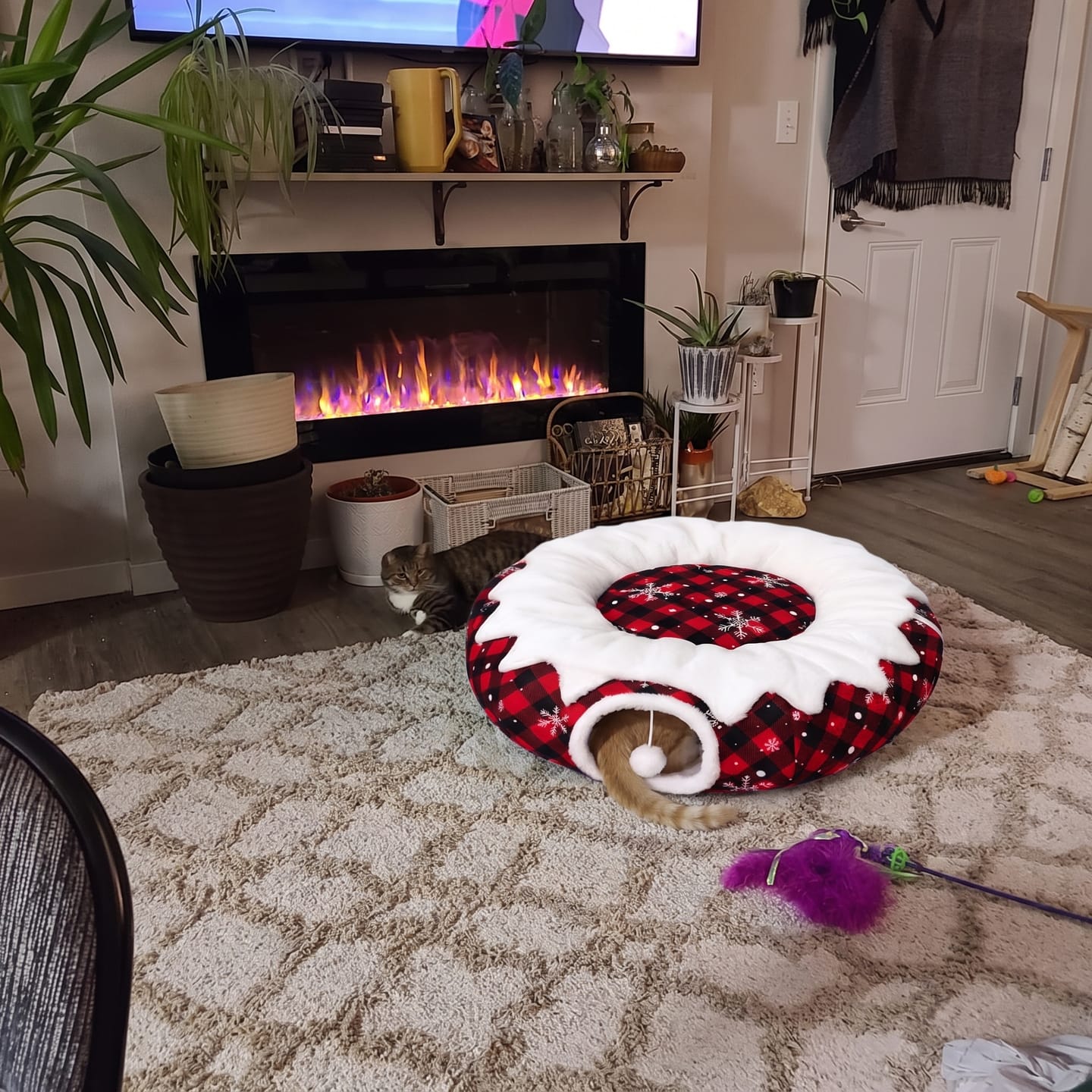 Customer photo review of Falda con túnel para gato