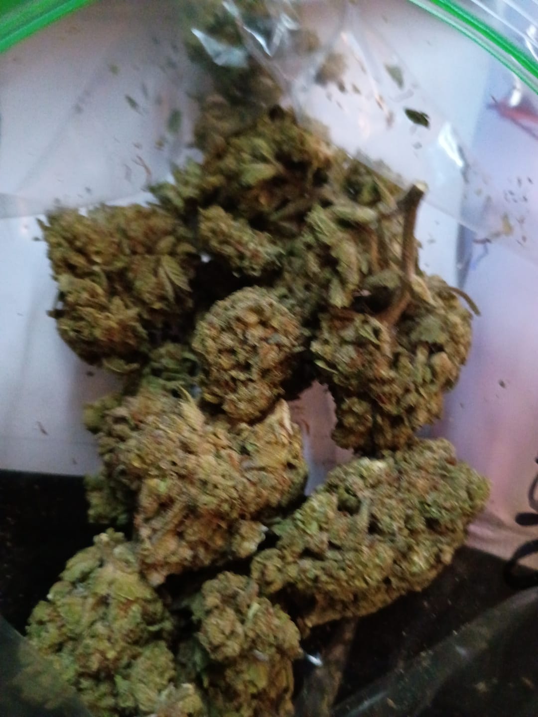 Customer photo review of West West Brand - Oreoz - 14 Grams - Hybrid