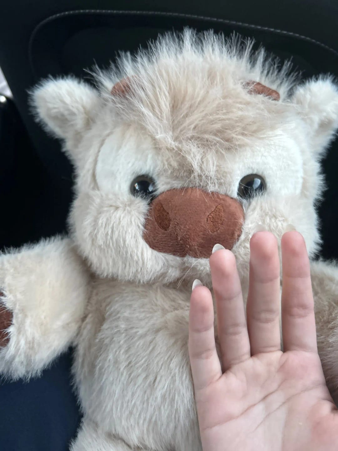 Customer photo review of MooDash BoopJoy – La vaquita de peluche que corre