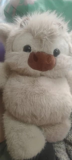 Customer photo review of MooDash BoopJoy – La vaquita de peluche que corre
