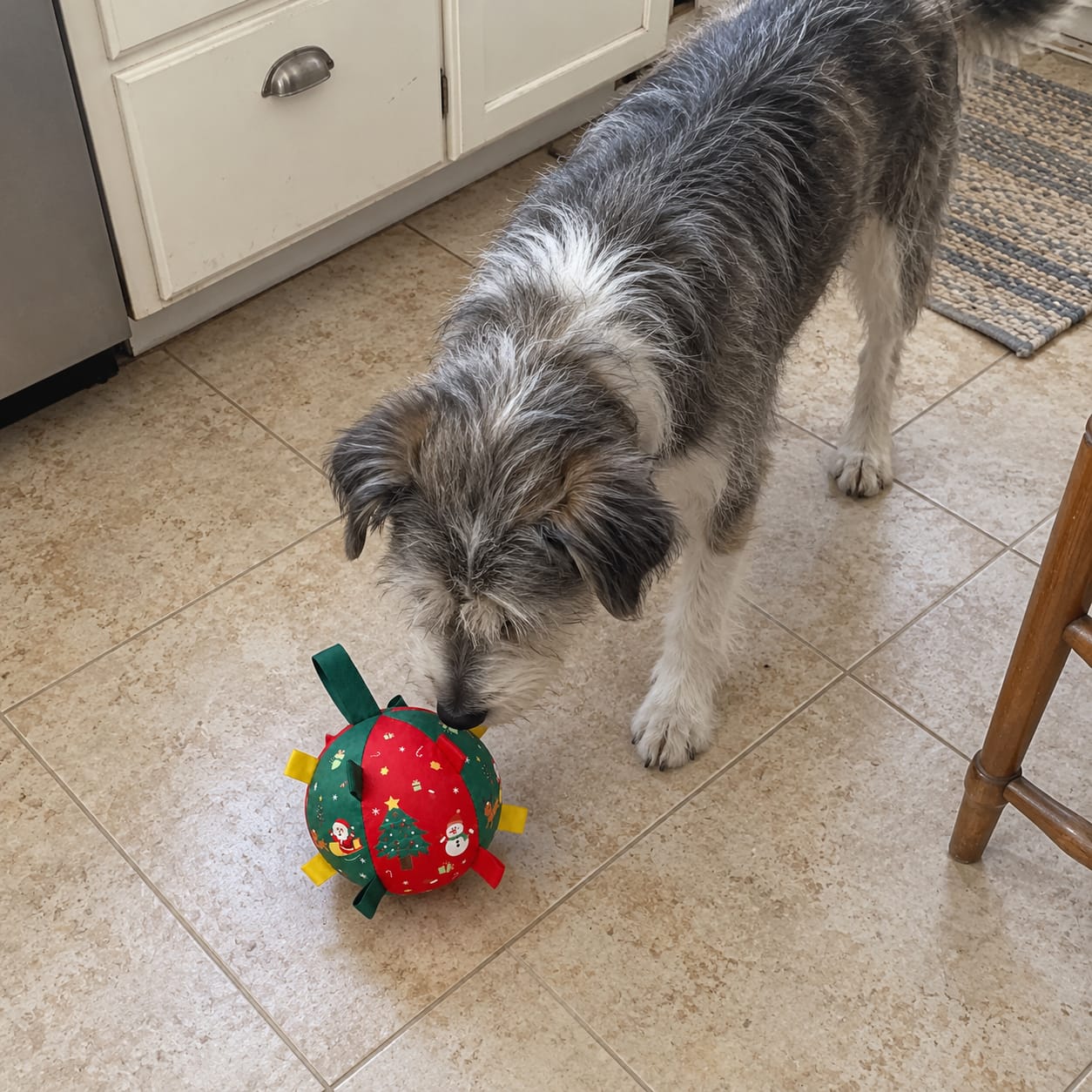 Customer photo review of JollyPup™ Christmas Play Ball