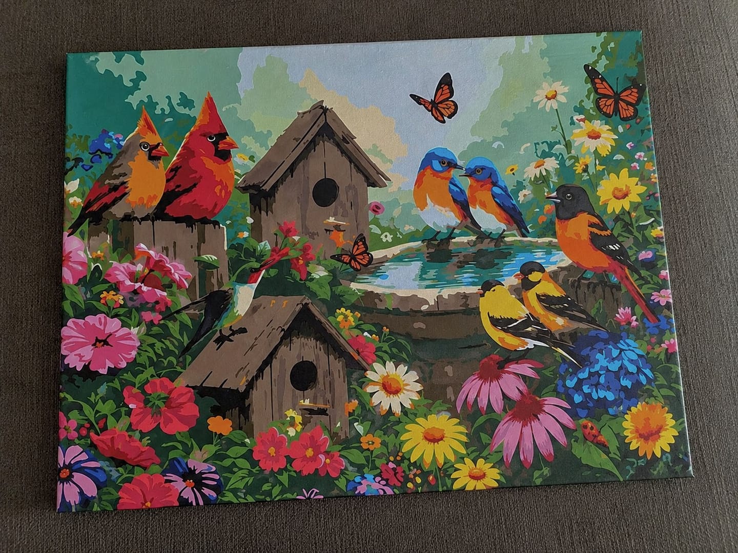 Customer photo review of Jardin du Chant des Oiseaux