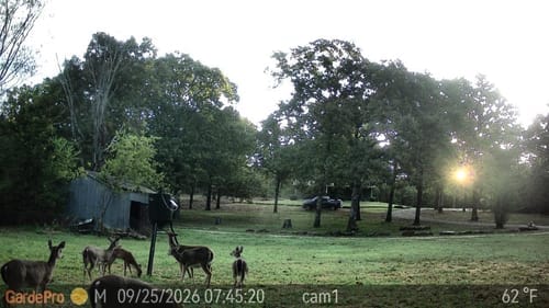 Customer photo review of GardePro Link 1.0 3000ft(1km) Long-Range WiFi Trail Camera