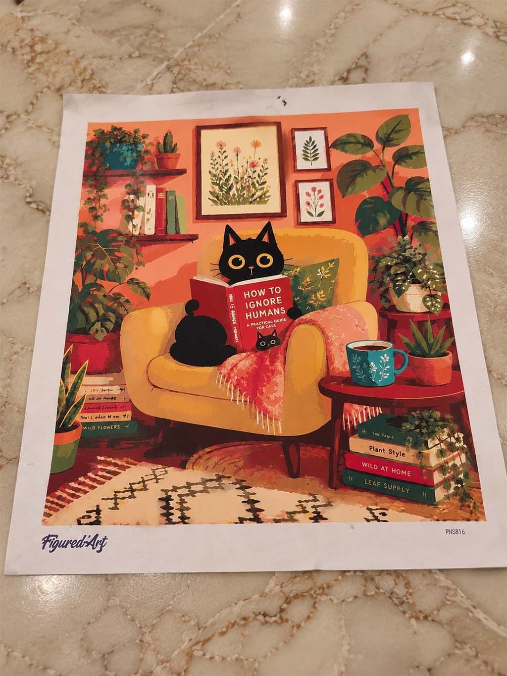 Customer photo review of Philosophie féline