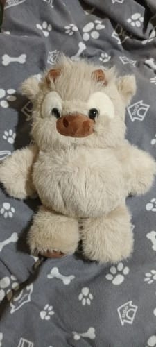 Customer photo review of MooDash BoopJoy – La vaquita de peluche que corre