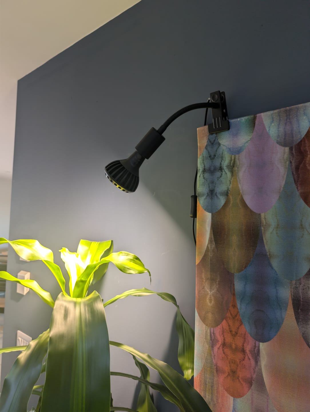 Customer photo review of Pianta Grow Light LED Bulb
