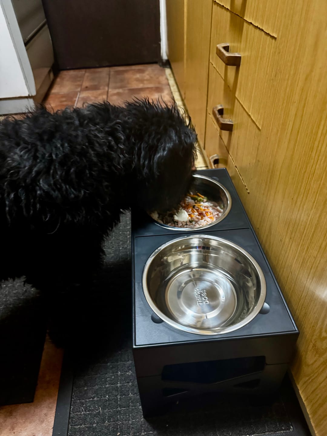 Customer photo review of Comedero Elevado THE DOGS Postura correcta en cada comida