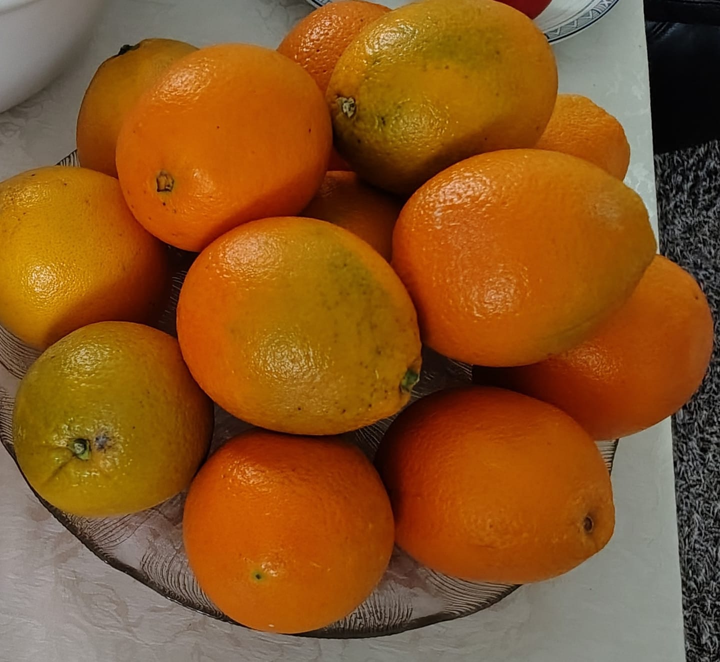 Customer photo review of Orangen Valencia Bio neue Ernte