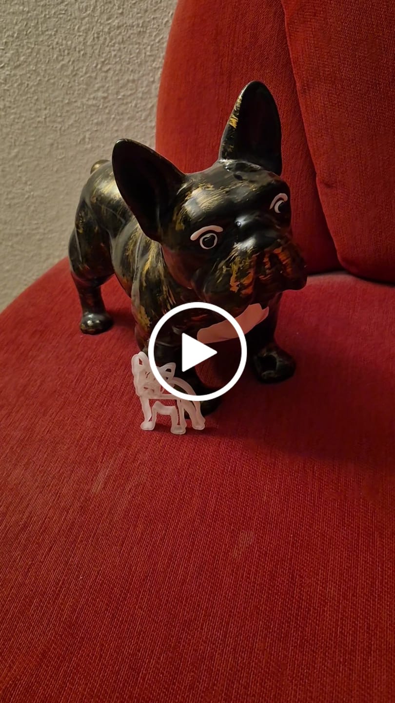 Customer video review of Keksausstecher - Hunderassen