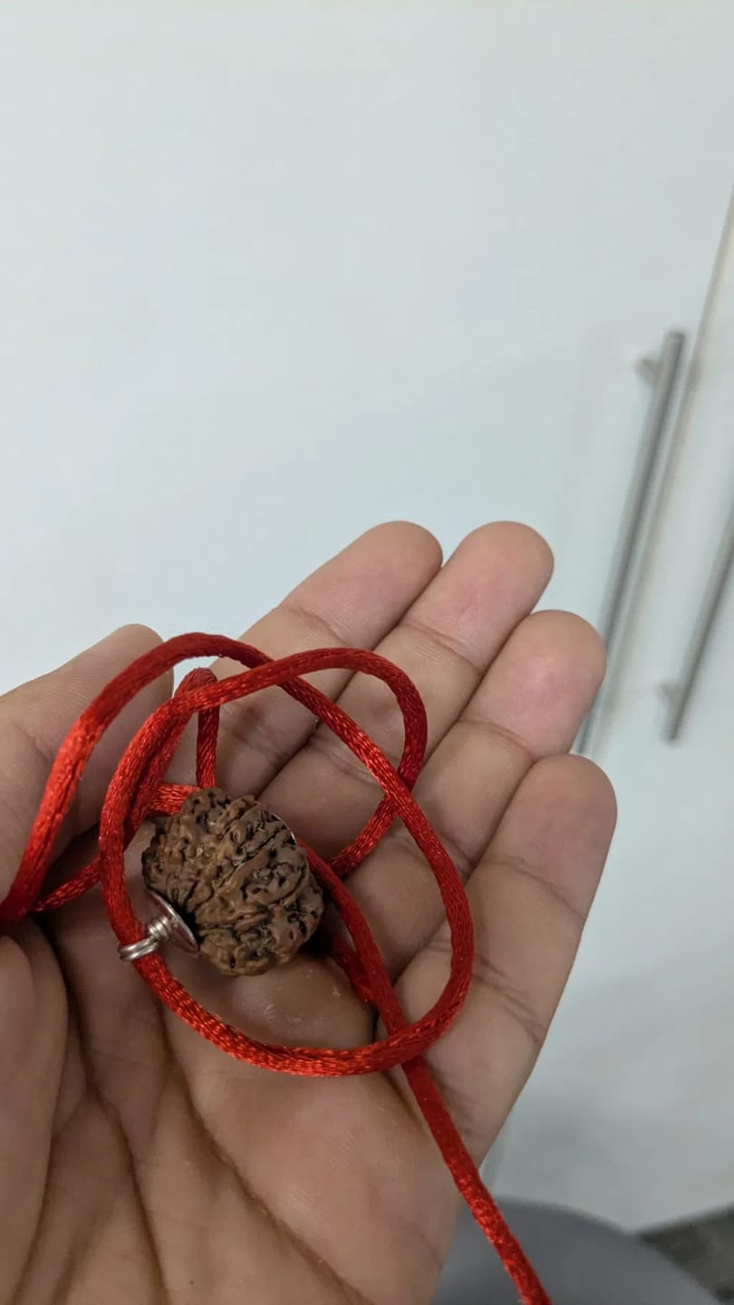 Customer photo review of Nepal Origin 9 Mukhi Rudraksha – 100% Natural & Certified
