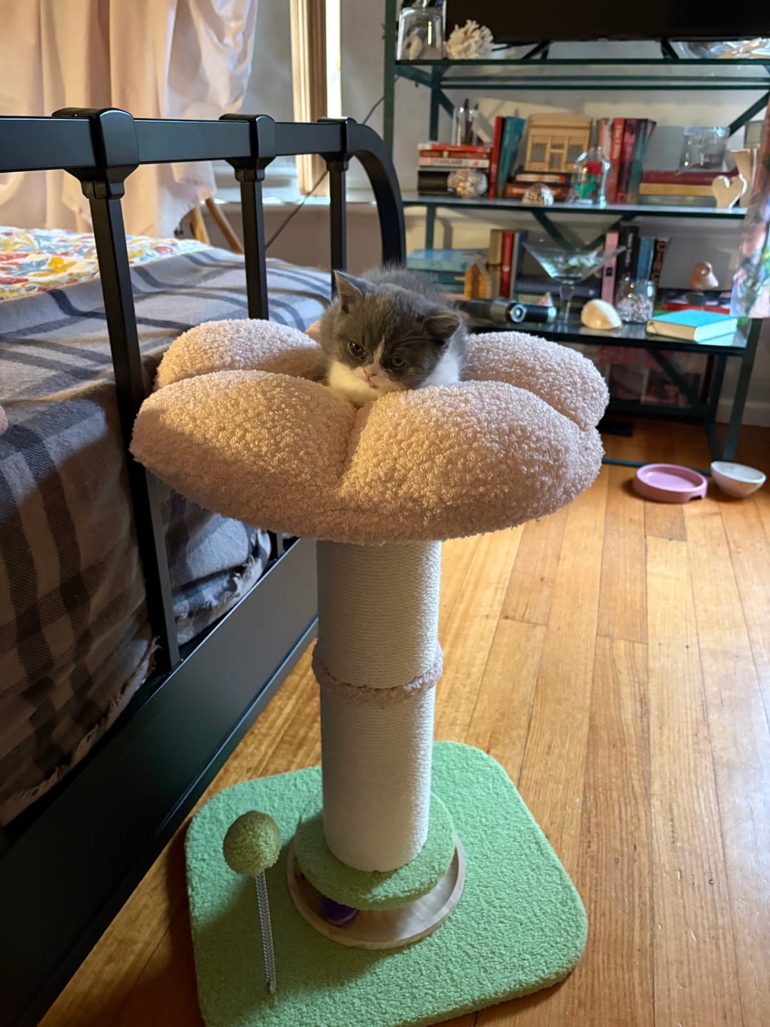 Customer photo review of Cat Scratching Post Flower 61.5cm Cat Tree Tower Sisal Scratch Post Pink