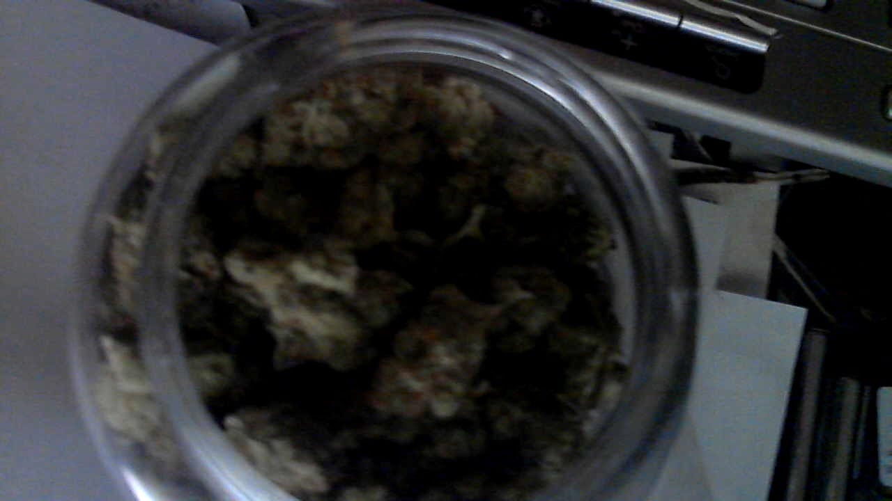 Customer photo review of Face Off OG - Bulk - Indica