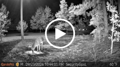 Customer photo review of GardePro Link 1.0 3000ft(1km) Long-Range WiFi Trail Camera