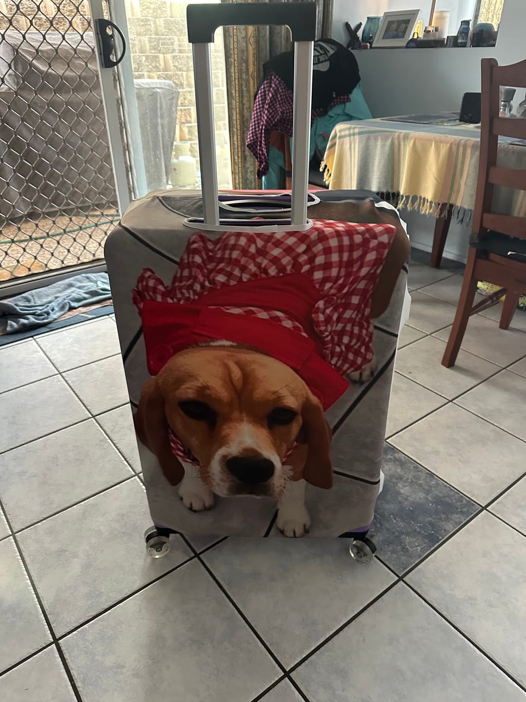 Customer photo review of Checked