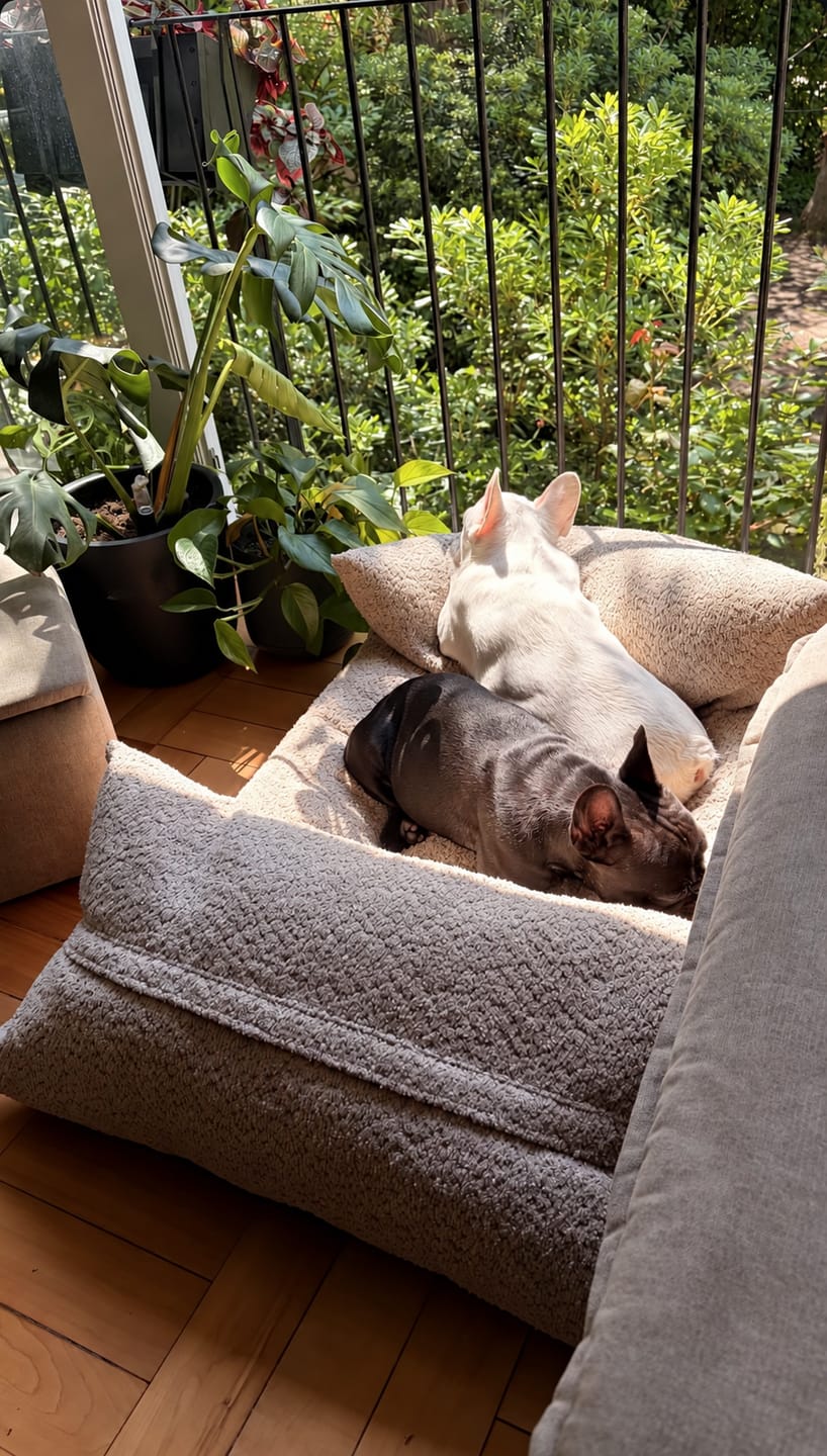 Customer photo review of Cama Yoko Arena